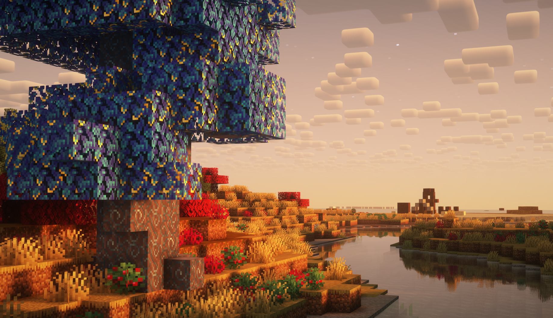 Minecraft Server Screenshot 6